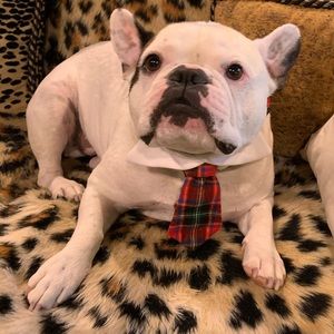 Meet your Posher, Jackie